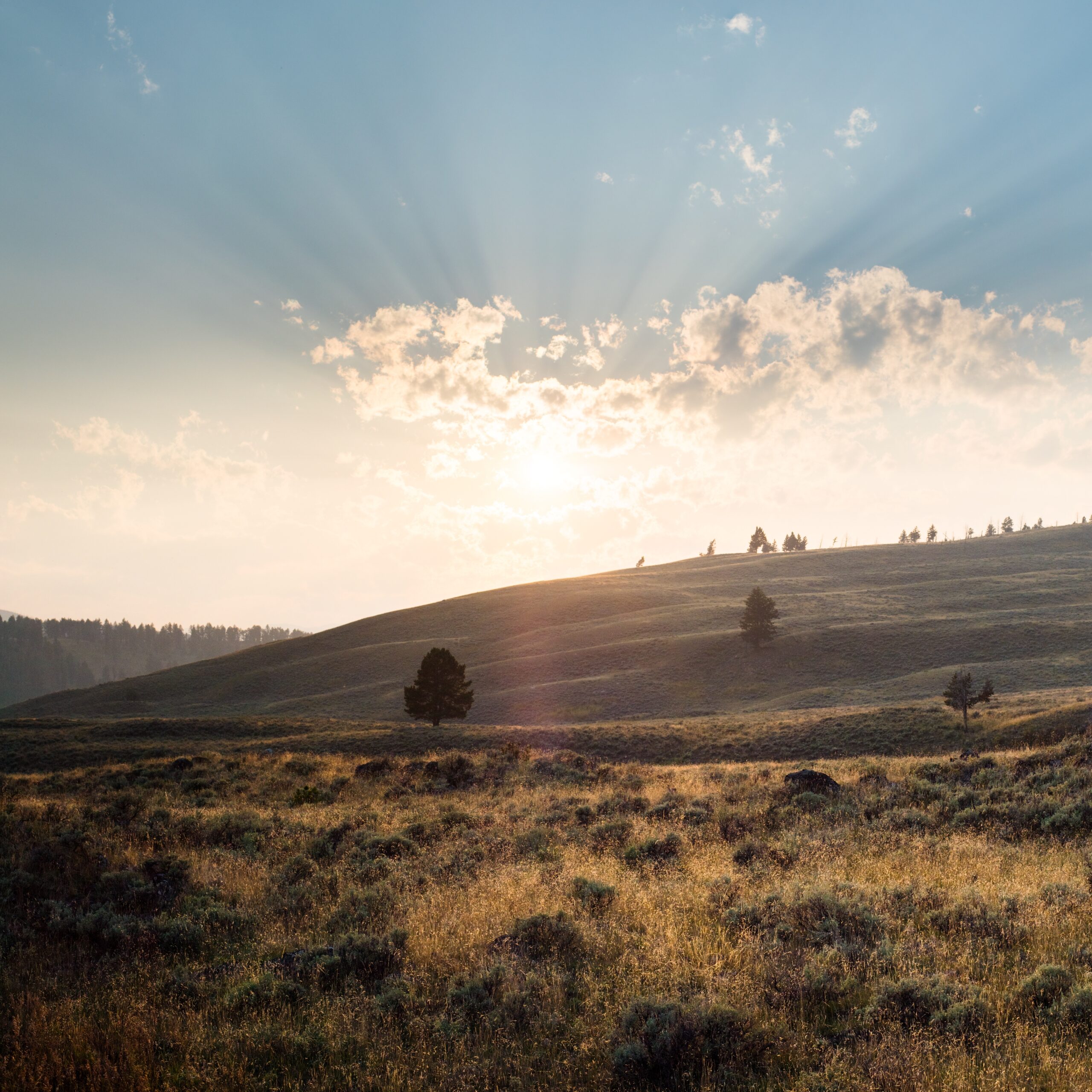Beautiful scenery of a landscape in Yellowstone with mountains and the sunrise in the background