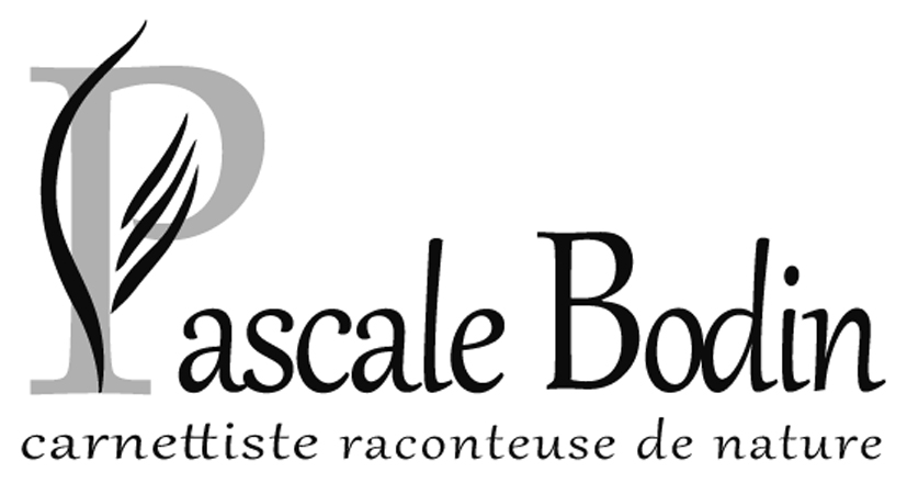 Logo Carnettiste