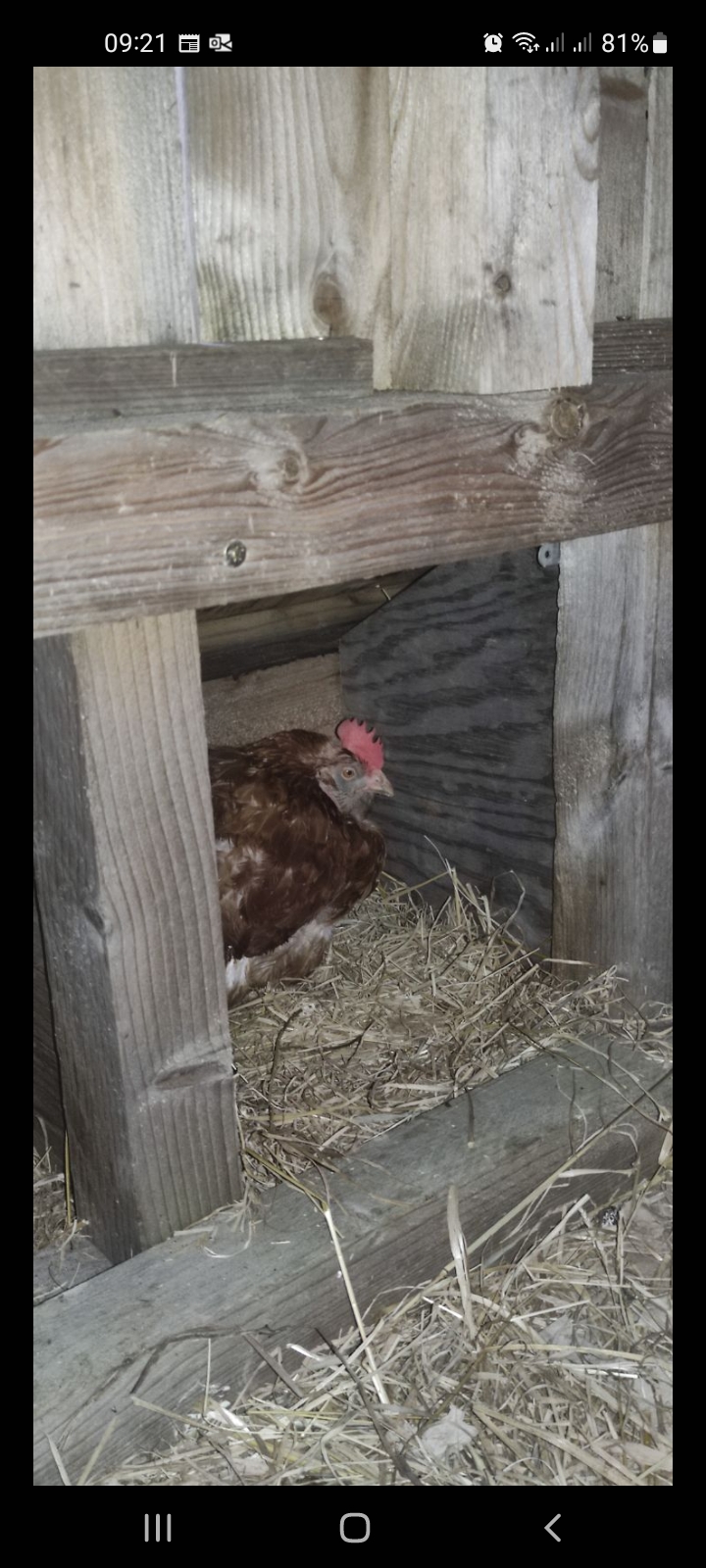 Screenshot 20231003 092157 messages