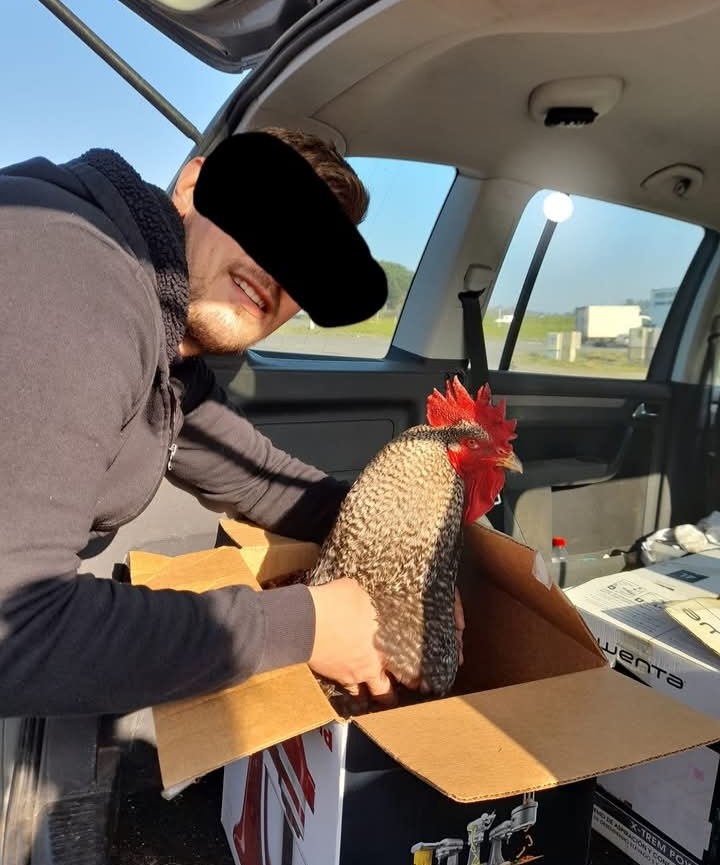 Screenshot 20250729 131350 facebook