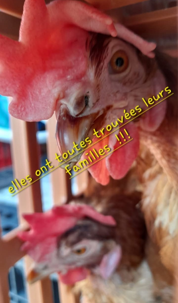 Screenshot 20250729 131536 facebook