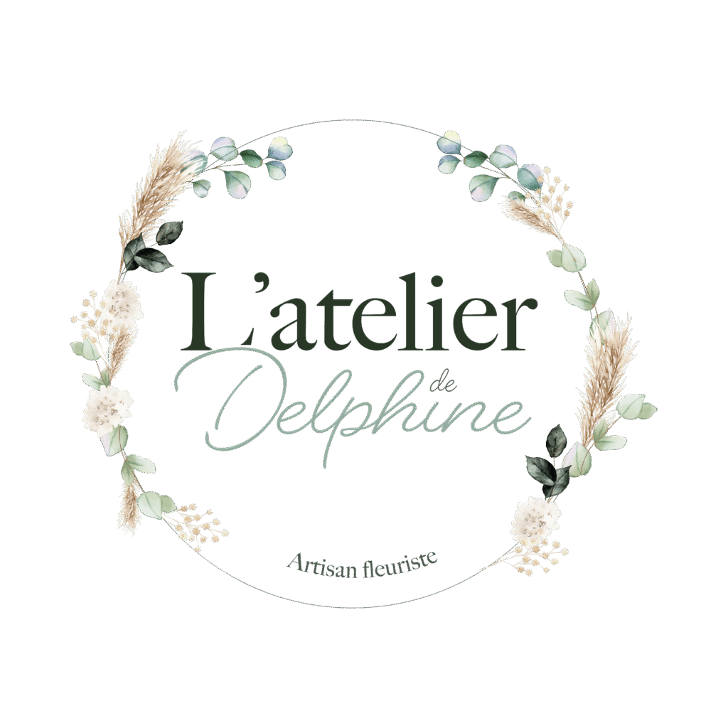 Logos delphine plan de travail 1