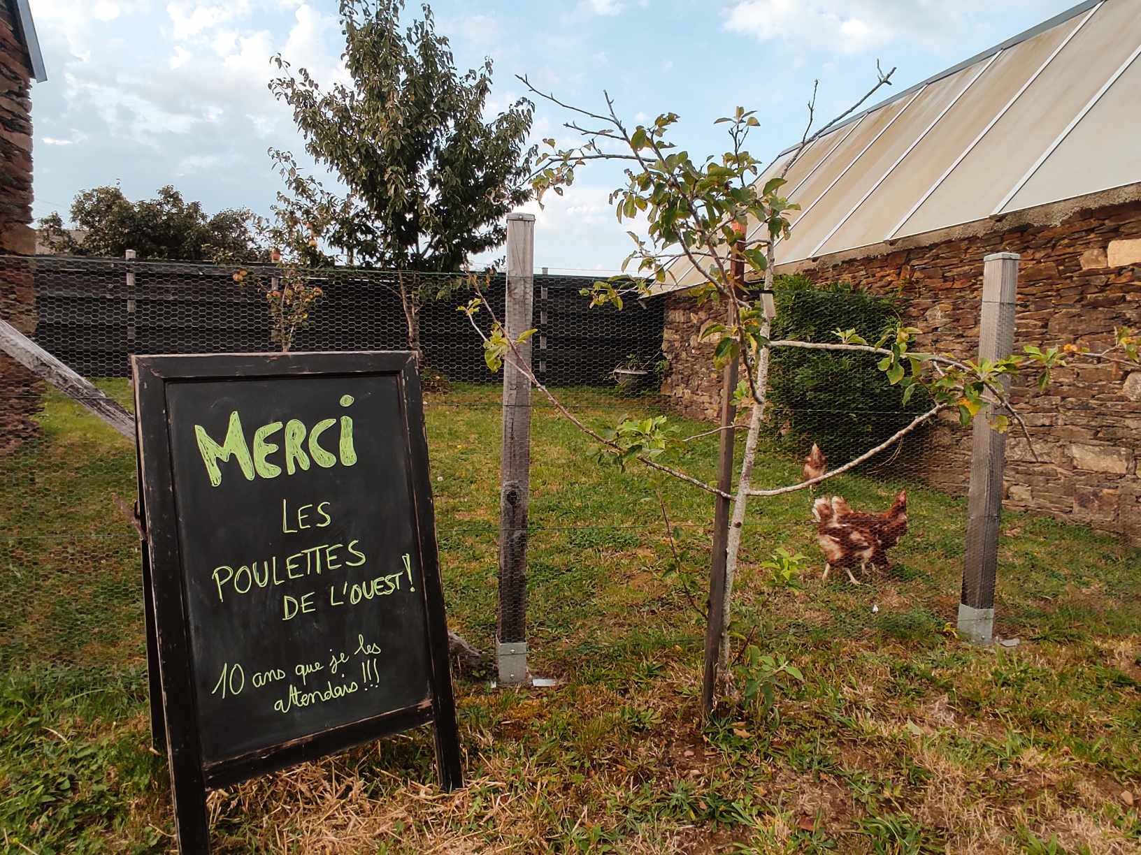 Received 1293515298032425