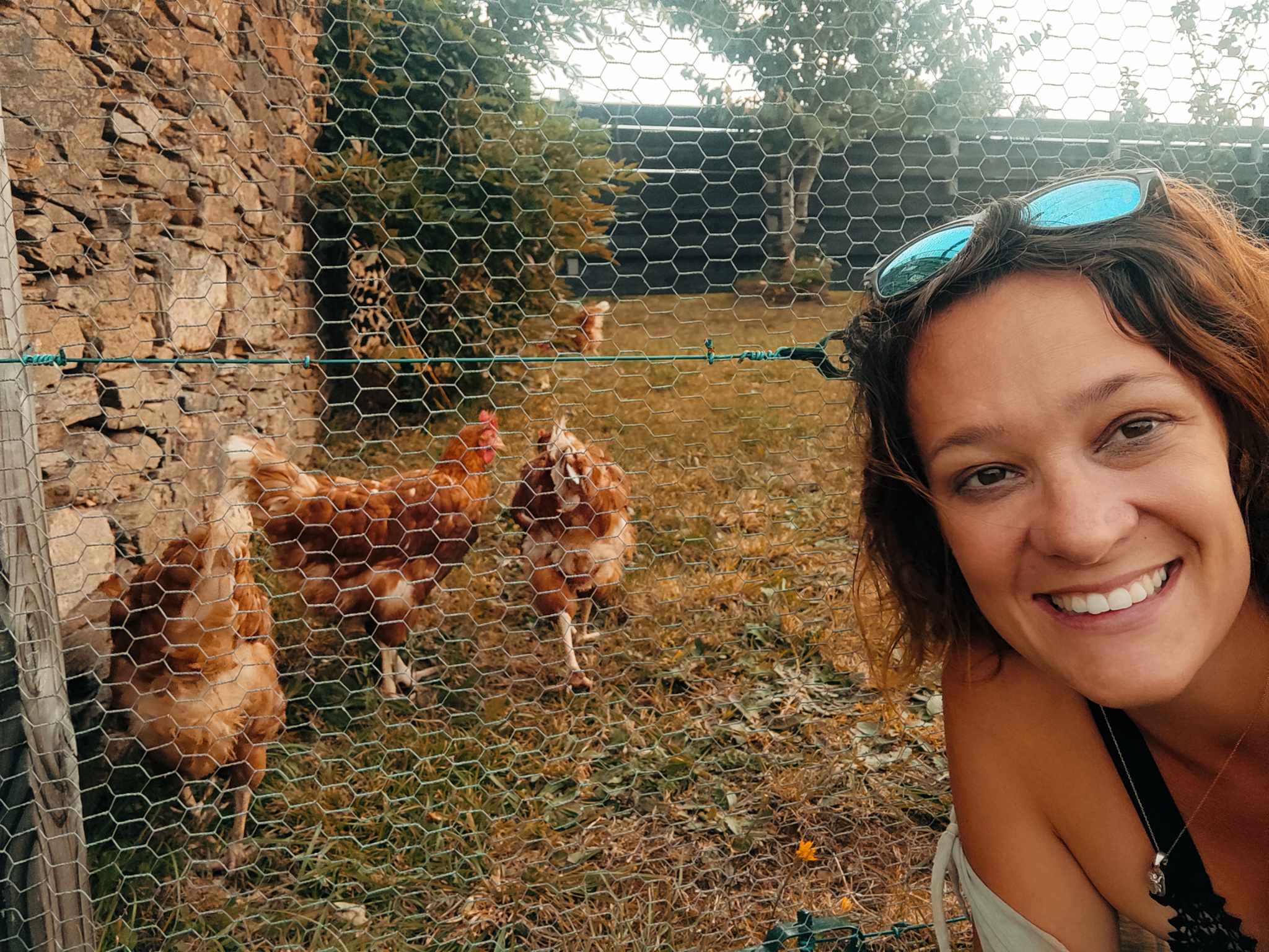 Received 242964314900630