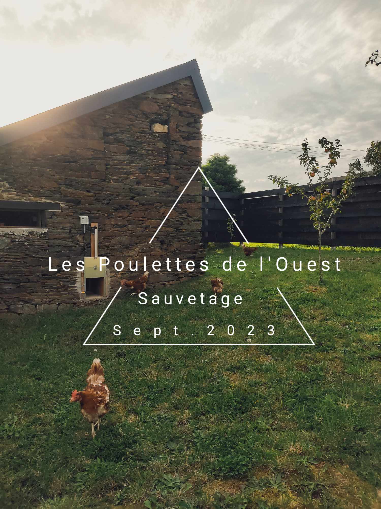 Received 606532065027771