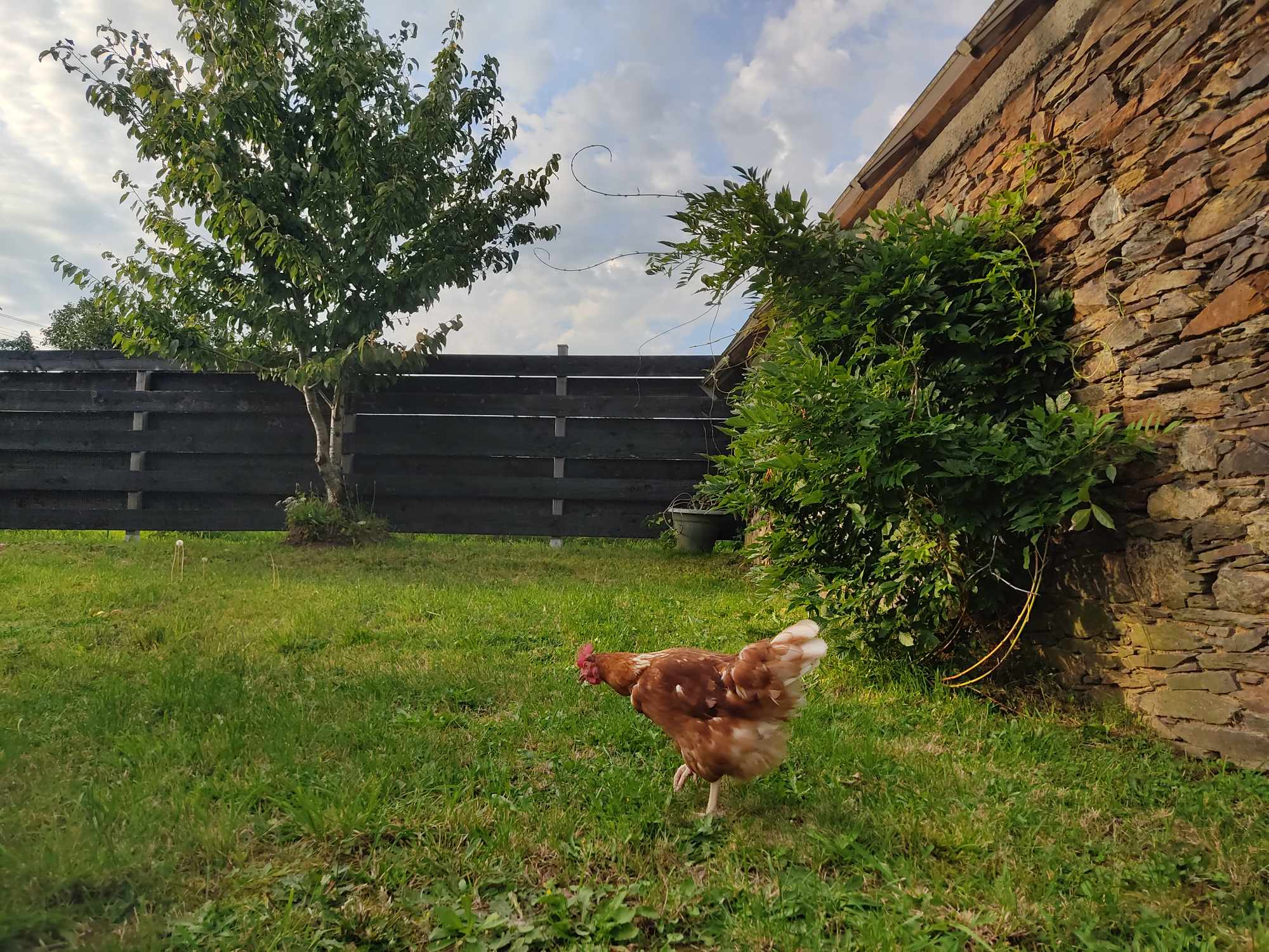 Received 857494092389686